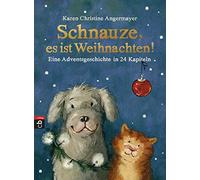 Schnauze, es ist Weihnachten: Eine Adventsgeschichte in 24 Kapiteln