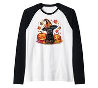 Schnauzer Halloween and Fall Pumpkins for Schnauzer Mom Manche Raglan