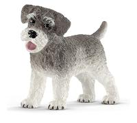 Schnauzer nain