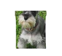 Schnauzer Nain, Sac de Rangement pour Femmes, Portefeuille supérieur à Presser, Petit Porte-Monnaie, Pochette de Changement