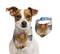 Schnauzer Pelouse Animaux Chiens Gris Chnauzer,Bandanas pour Chien, écharpe en Coton, Bavoirs réglables pour Animaux de Compagnie,S