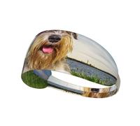 Schnauzer Pelouse Animaux Chiens Gris Chnauzer,Bandeau de Sport Unisexe, Bandeau élastique Multi-usages pour Cheveux