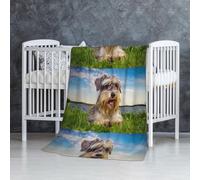 Schnauzer Pelouse Animaux Chiens Gris Chnauzer,Couverture Douce et Chaude en Flanelle Anti-Boulochage 76 x 127 cm