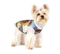 Schnauzer Pelouse Animaux Chiens Gris Chnauzer,T-Shirt sans Manches en Coton pour Animaux de Compagnie, Gilet Respirant, Extensible et Doux,L