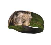 Schnauzer Sunset Dogs Pets Mountains SchnauzerHair Bands for Men Woman Headband Running Headband Sweat Wicker Gym