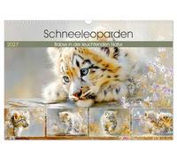 Schneeleoparden. Babys in der leuchtenden Natur (Wandkalender 2027 DIN A3 quer), CALVENDO Monatskalender: Zarte Illustrationen zeigen ... Wesen in einer malerischen Naturwelt