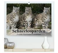 Schneeleoparden. Perfekte Raubkatzen-Schönheiten (hochwertiger Premium Wandkalender 2026 DIN A2 quer), Kunstdruck in Hochglanz: Die wunderschönen Raubkatzen des Hochgebirges
