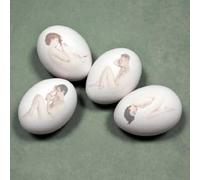 Schneeweiss & Rosenrot - Pool