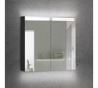 Schneider ARANGA Armoire de toilette, 2 portes, 160.470.02.41, ARA 70/2/TW