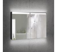 Schneider ARANGA Armoire de toilette, 2 portes, 160.500.02.41, ARA 100/2/TW