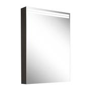 Schneider ARANGA TW Armoire de toilette avec éclairage, 1 porte avec charnières à droite, 495x120x700mm, bandeaux lumineux en haut, 160.452.02.41, Exécution: norme UE/corps noir mat, paroi arrière réf