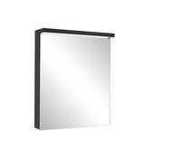 Schneider BORDO TW Armoire de toilette avec éclairage LED, 1 porte butoir réversible, prise à gauche, 59,5x72,6x17,8cm, 188.061.01.44, Exécution: norme CH/corps noir mat