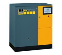 Schneider Compresseur Schneider AM B 5-13 XDK Quantité:1