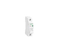 Schneider Electric R9F23106 Disjoncteur monophasé 6 A 230 V