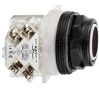 Schneider Electric 9001SKR1BH5 1 pc(s)