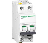 Schneider Electric A9F04213