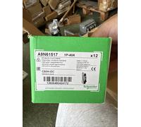 Schneider Electric Disjoncteur A9N61517