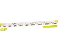 Schneider Electric A9XPC624 Rail de phase 1 pc(s)