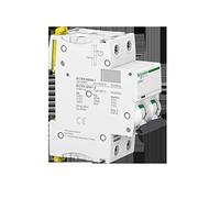 Schneider Electric - Acti9, iC60N disjoncteur 2P 63A courbe C - A9F77263