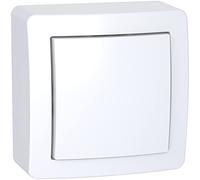 Schneider Electric - Alréa, Obturateur avec cadre saillie, blanc polaire - ALB62420P