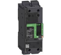 Schneider Electric BDL26080LU Disjoncteur 1 pc(s)