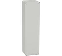 Schneider Electric Boîtier vide 1 pc(s)