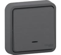 Schneider Electric - Bouton poussoir + voyant encastré IP55 Mureva - Schneider Noir G