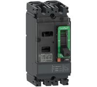 Schneider Electric C10M2TM063 NSX100M disj TMD 63A 2P fx