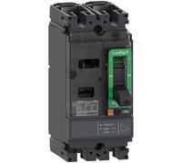 NSX160M 40kA AC-DC 2P 125A TMD marque Schneider Electric