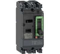 Schneider Electric C16M2TM160 Disjoncteur 1 pc(s)