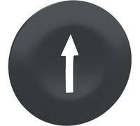 Schneider Electric Capuchon de protection 10 pc(s)