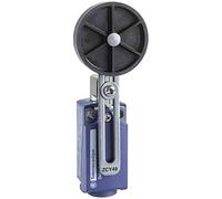 Schneider Electric Clé de rechange 1 pc(s)