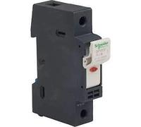 Schneider Electric Df101 V Tesys Isolateur de charge commutateur Porte fusible avec signalisation 10 x 38 mm 1P, 32 A, Lot de 12