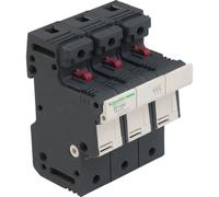 Schneider Electric DF143C Porte-fusible 2 pc(s)