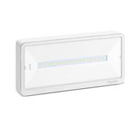Schneider Electric - Exiway Light Bloc de secours Ambiance IP42 SATI - OVA59310