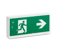 Schneider Electric - Exiway Light Bloc de secours Evacuation IP42 SATI LINK - OVA59130