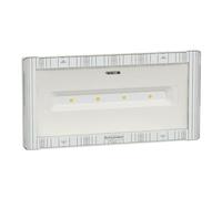 Schneider Electric - Exiway Smart - luminaires sur source centrale - ambiance - IP42 - OVA59502