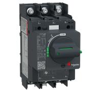 Schneider Electric GV4LE115N6 Disjoncteur 115A 50kA
