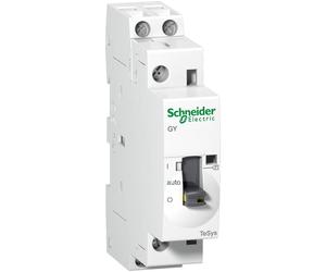 Schneider Electric GY2520M5 Contacteur 12 pc(s)