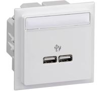 Schneider Electric INS60520 Boîtier dencastrement prise USB 1 pc(s)