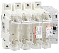 Schneider Electric Interrupteur sectionneur 1 pc(s)