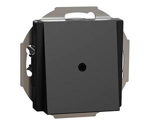 Schneider Electric Merten MEG4071-0403 Sortie de câble pour panneau central avec cadre de montage, noir mat, système M