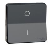 Schneider Electric MUR35034 INTER BIPOLAIRE GRIS COM.