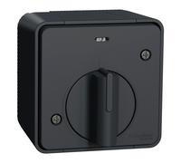 Schneider Electric MUR35067 INTER TEMPO GRIS SAILLIE