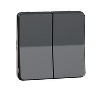 Double va et vient volets roulants IP55 IK07 - Composable - Gris anthracite - Mureva Styl