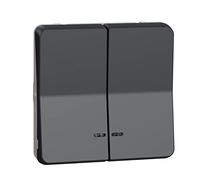 Schneider Electric - Mureva Styl - Dble bouton poussoir lumineux LED - composable - IP55 IK07 - gris - MUR35228