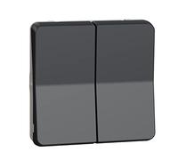 Schneider Electric - Mureva Styl - Double bouton poussoir - composable - IP55 - IK07 - gris - MUR35326