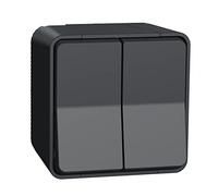 Schneider Electric - Mureva Styl - Double va et vient - saillie - IP55 - IK08 - connexion auto - gris - MUR35022