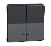 Schneider Electric - Mureva Styl - Enjoliveur 2 demi touche - IP55 - IK08 - gris - MUR34205