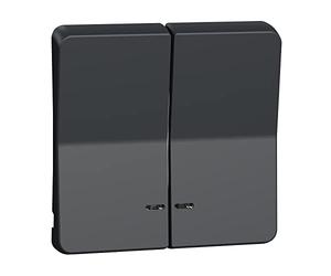 Schneider Electric - Mureva Styl - Enjoliveur 2 demi touche - IP55 - IK08 - gris - MUR34205